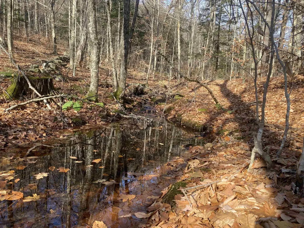 0 Caldwell Pond Road Alstead NH 03602