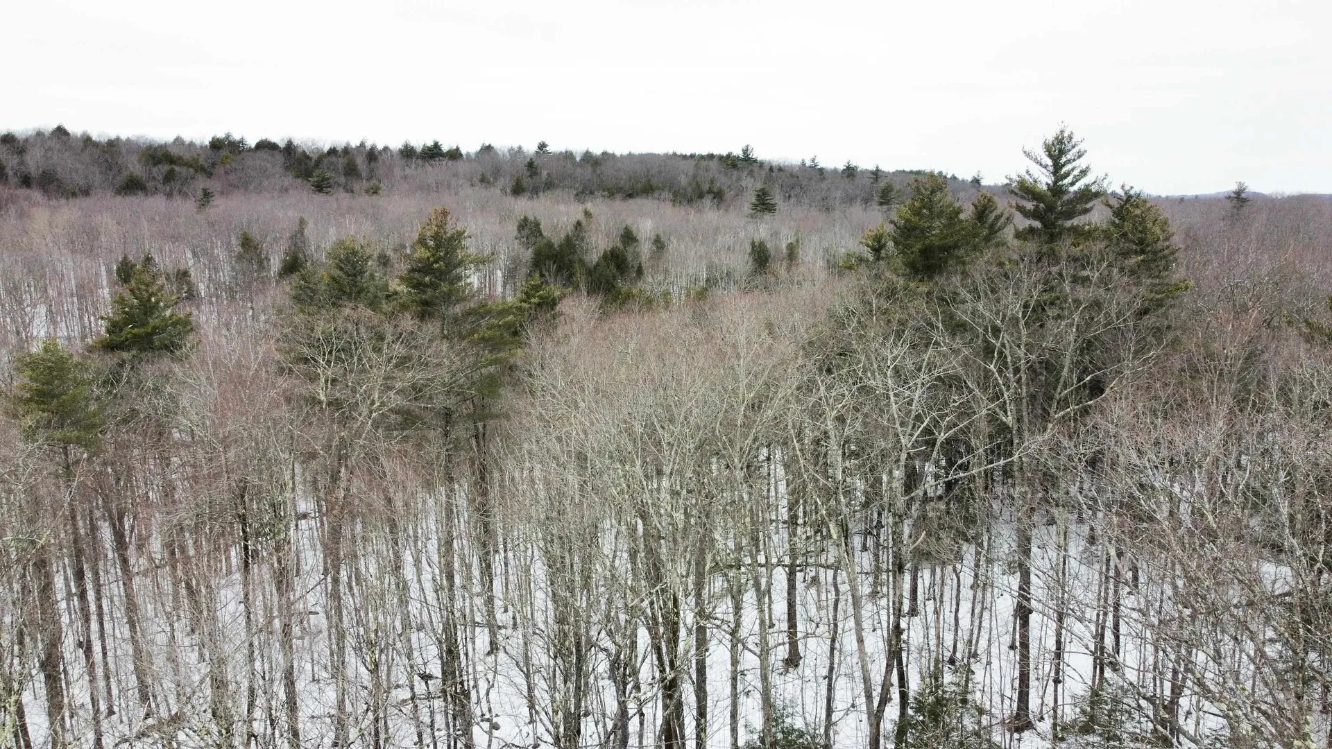0 Caldwell Pond Road Alstead NH 03602