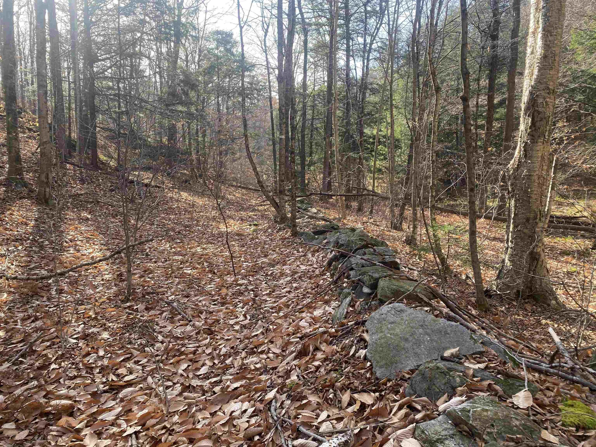 0 Caldwell Pond Road Alstead NH 03602