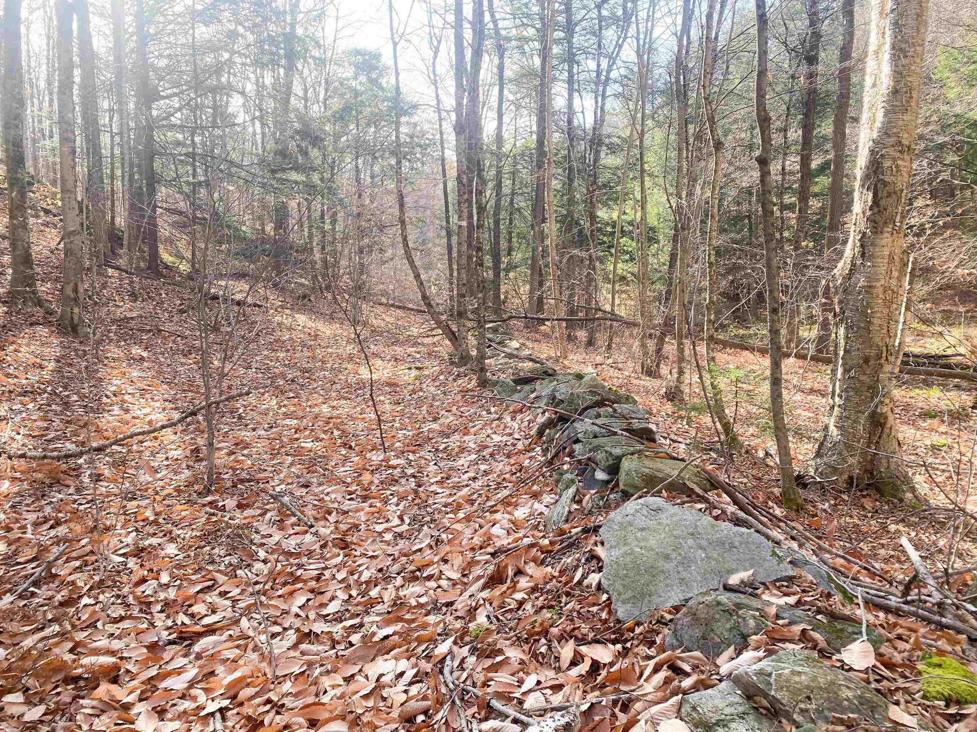 0 Caldwell Pond Road Alstead NH 03602