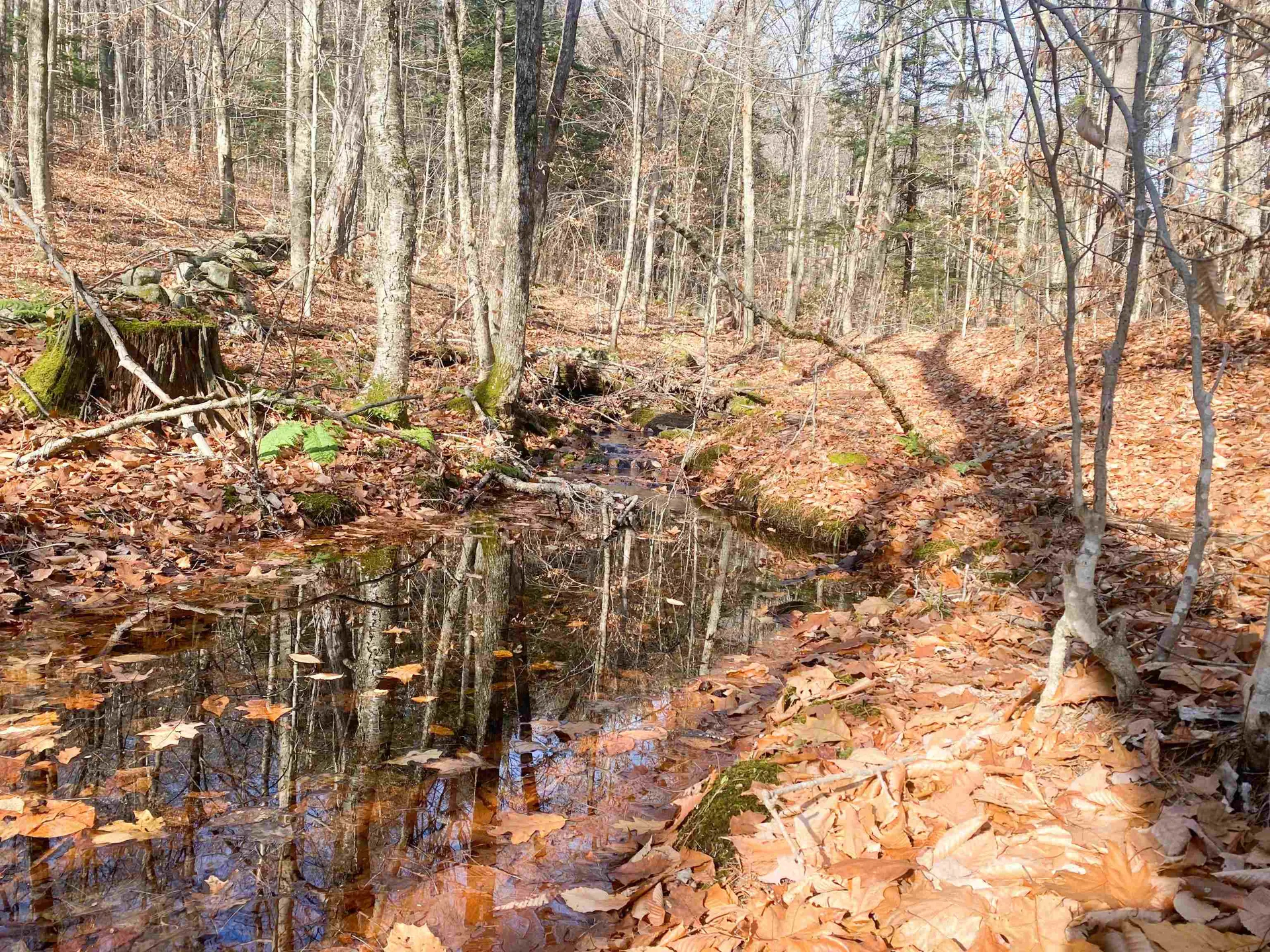 0 Caldwell Pond Road Alstead NH 03602