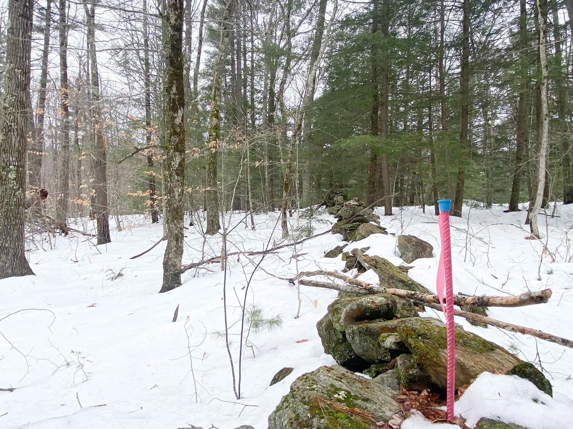 0 Caldwell Pond Road Alstead NH 03602