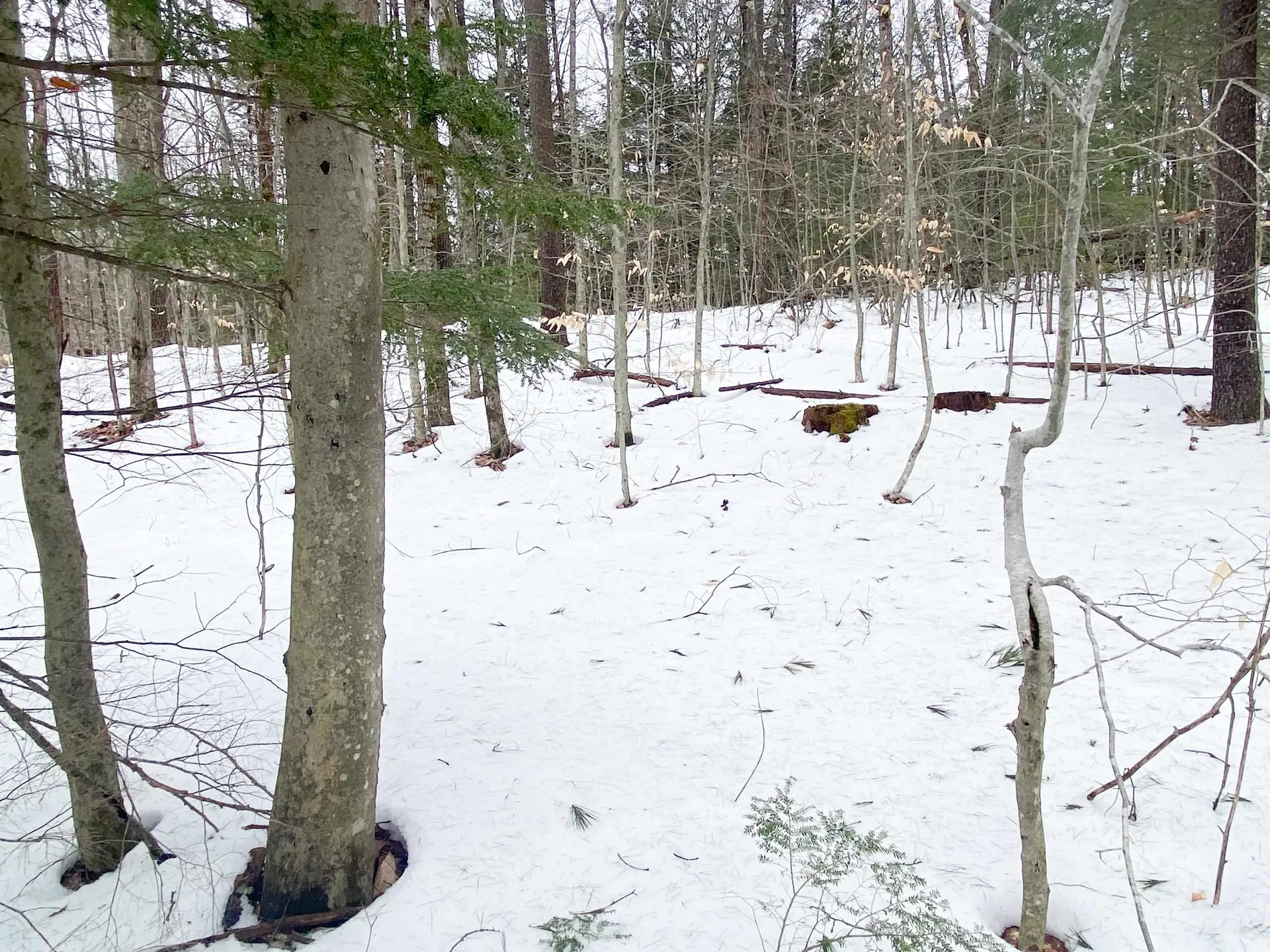 0 Caldwell Pond Road Alstead NH 03602