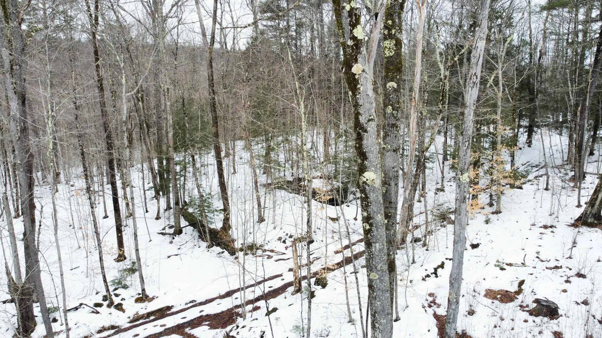 0 Caldwell Pond Road Alstead NH 03602