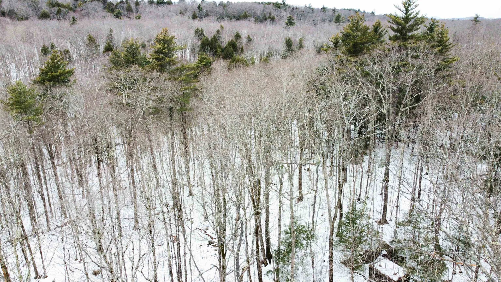 0 Caldwell Pond Road Alstead NH 03602