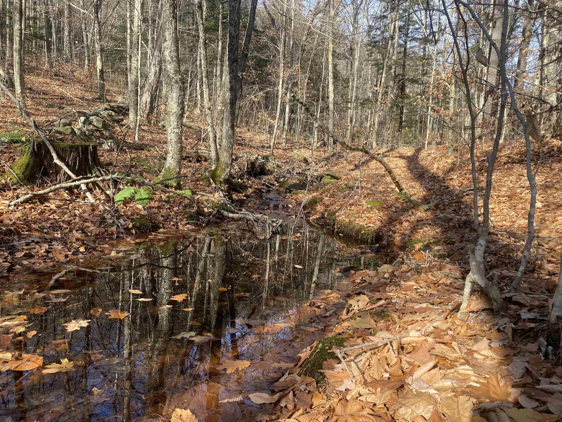 0 Caldwell Pond Road Alstead NH 03602