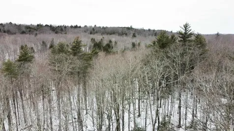 0 Caldwell Pond Road Alstead NH 03602