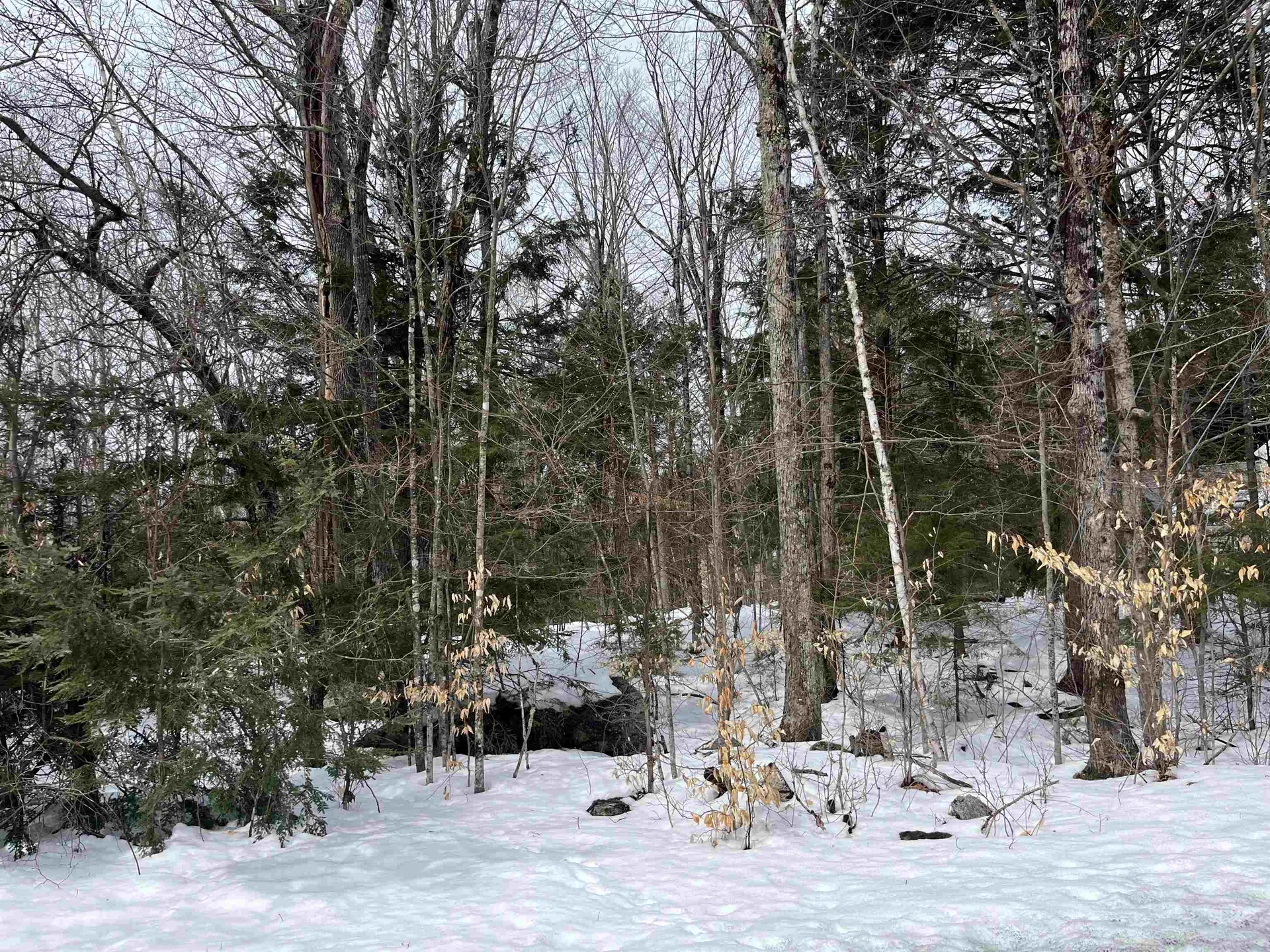 36 Brookridge Drive Grantham NH 03753