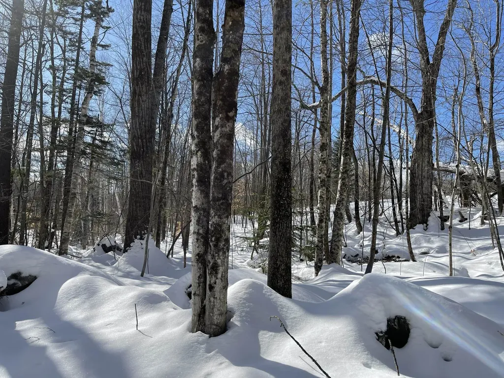 1114 Abbott Road Windham VT 05359