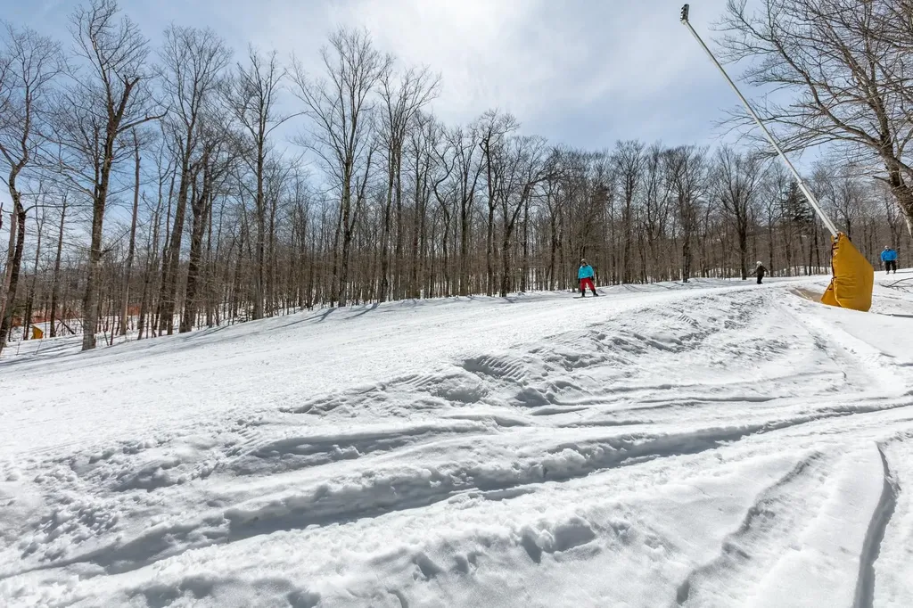22 Upper Glades Road Stratton VT 05155