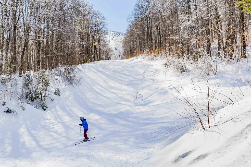 22 Upper Glades Road Stratton VT 05155