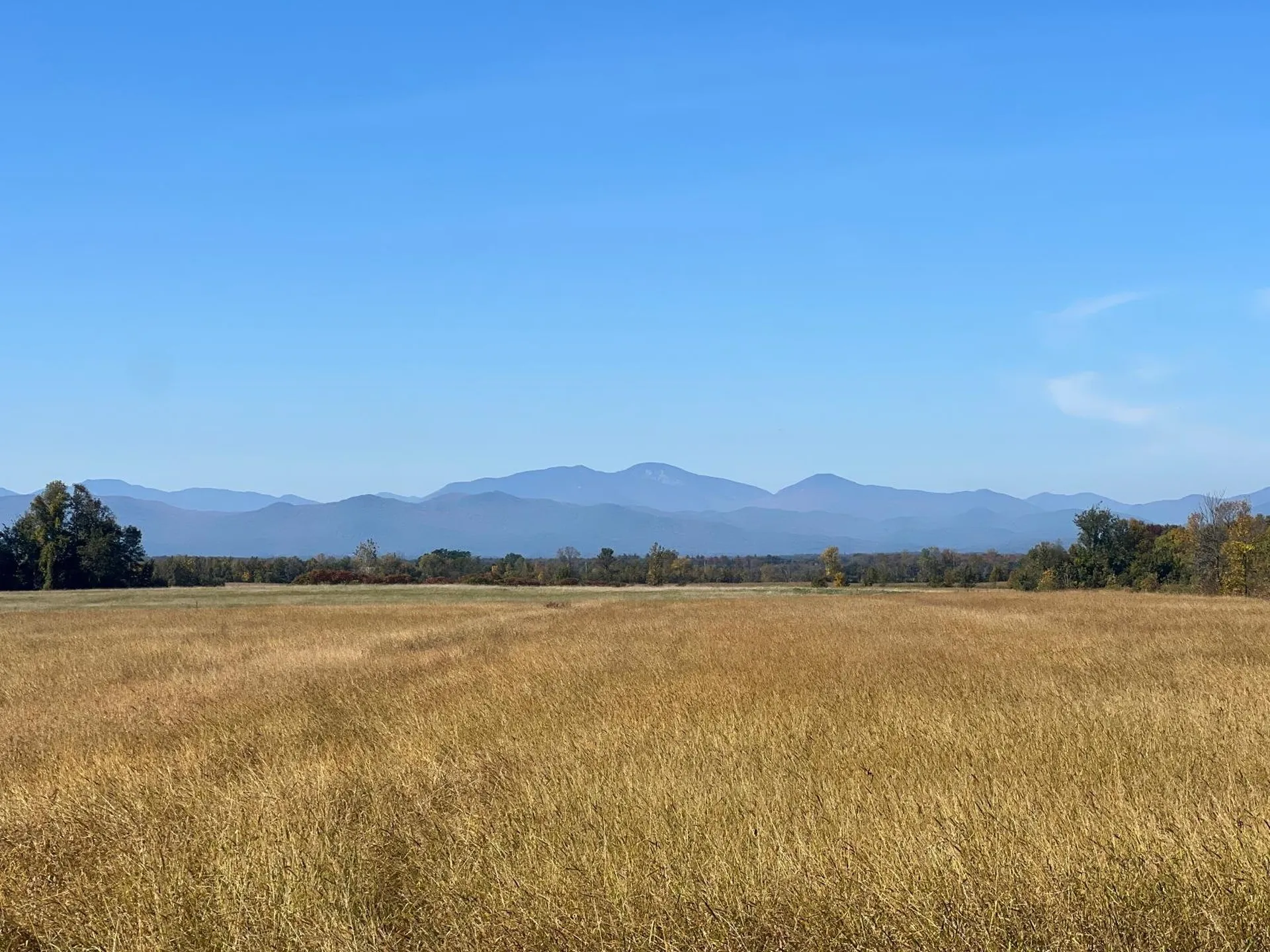 600 Botsford Road Ferrisburgh VT 05456-9761