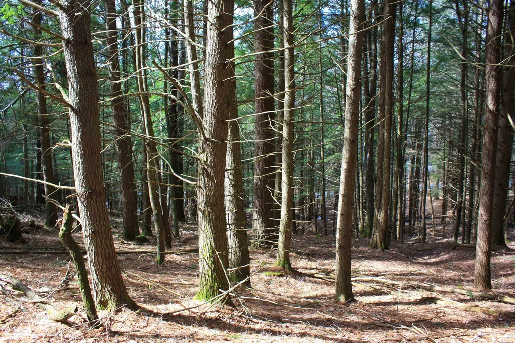 00 Bayley Way Hartford VT 05059