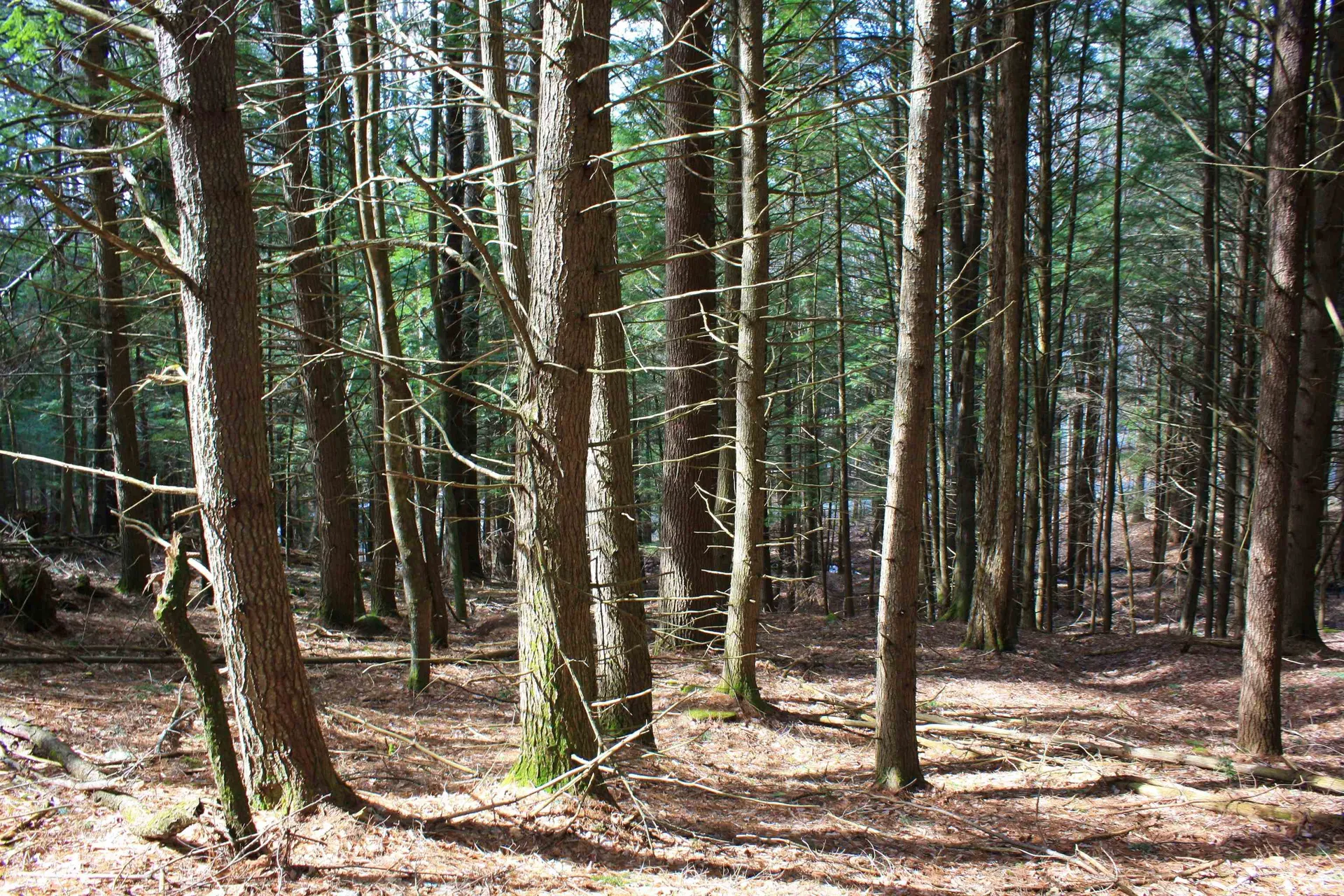 00 Bayley Way Hartford VT 05059