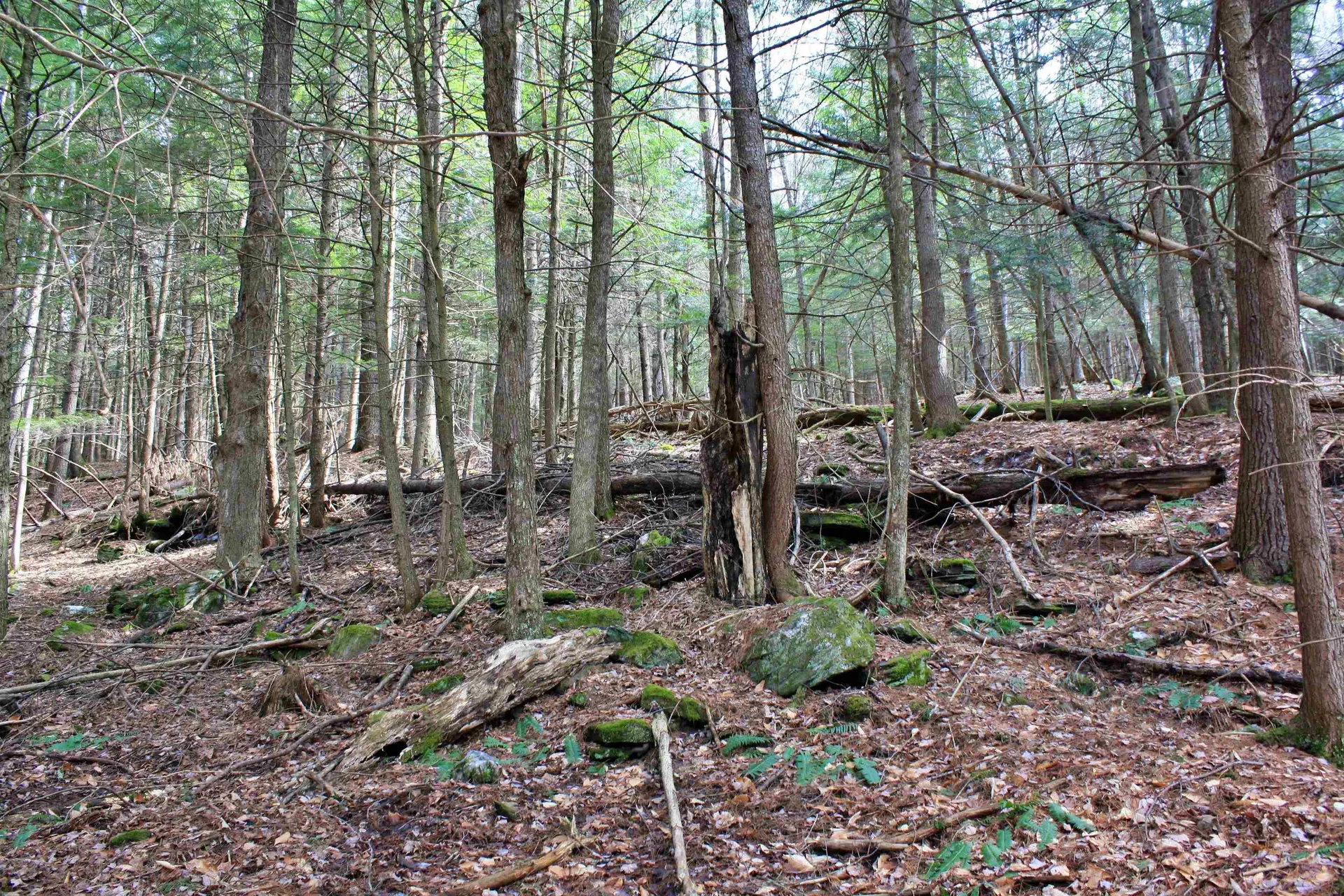 00 Bayley Way Hartford VT 05059