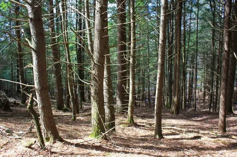 00 Bayley Way Hartford VT 05059