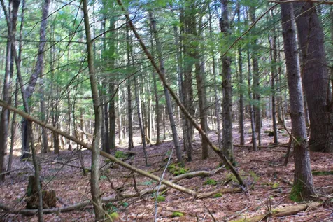 00 Bayley Way Hartford VT 05059