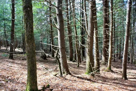00 Bayley Way Hartford VT 05059