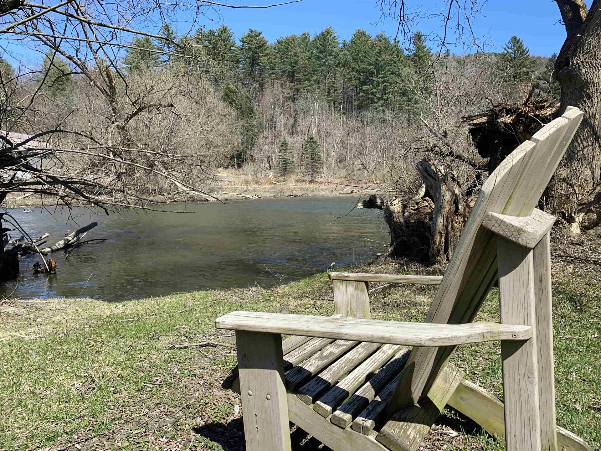 447 Elm Street Montpelier VT 05602