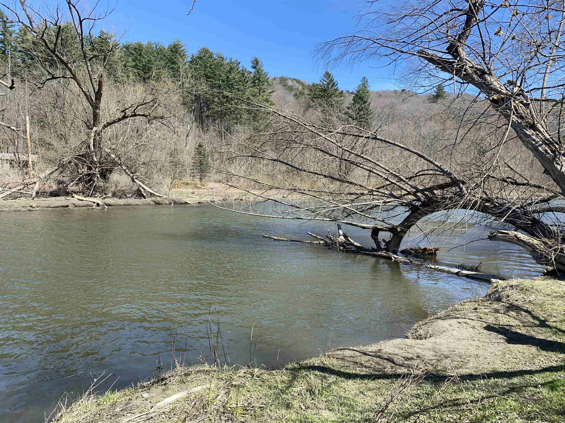 447 Elm Street Montpelier VT 05602