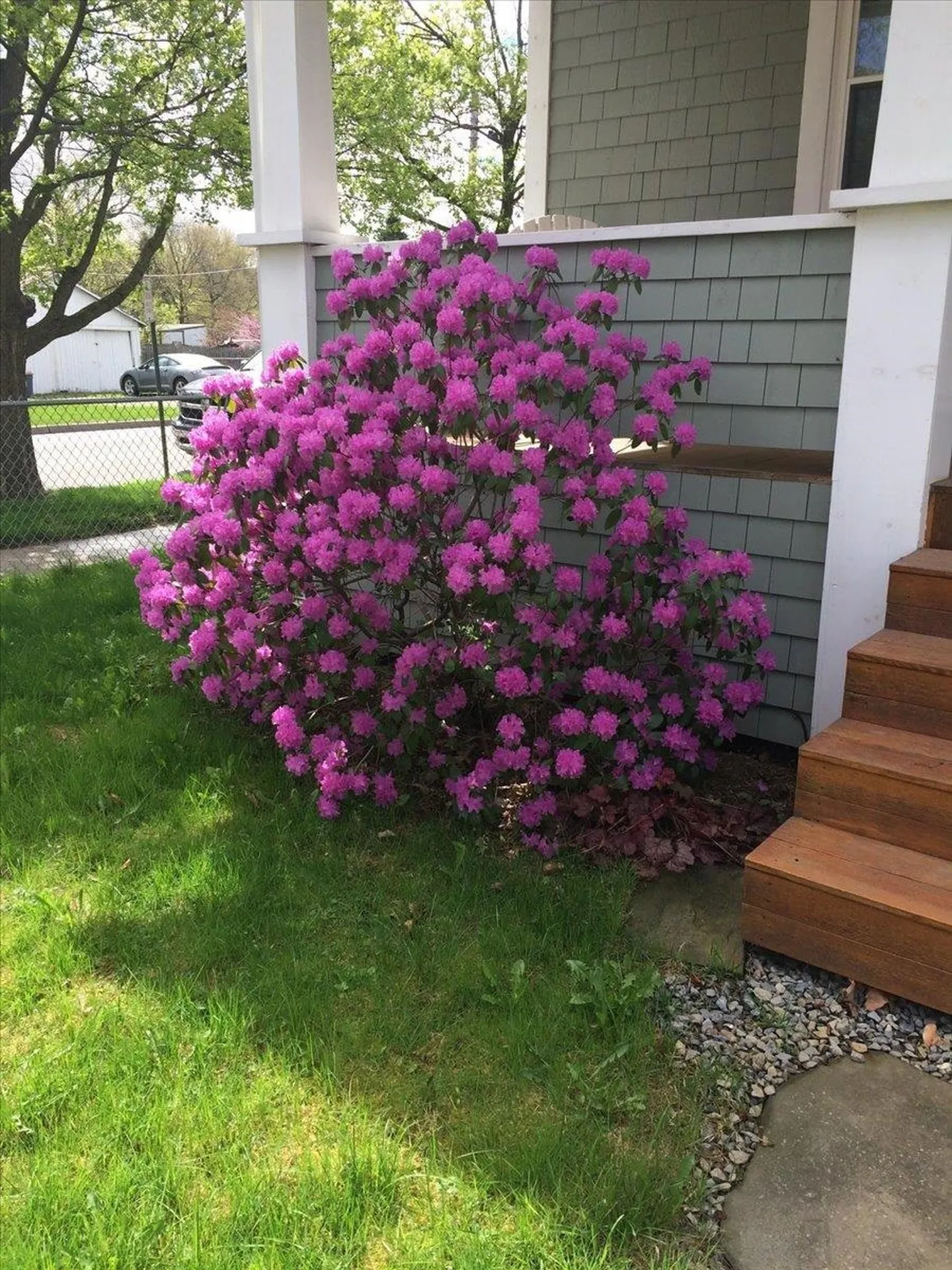 265 Flynn Avenue Burlington VT 04501