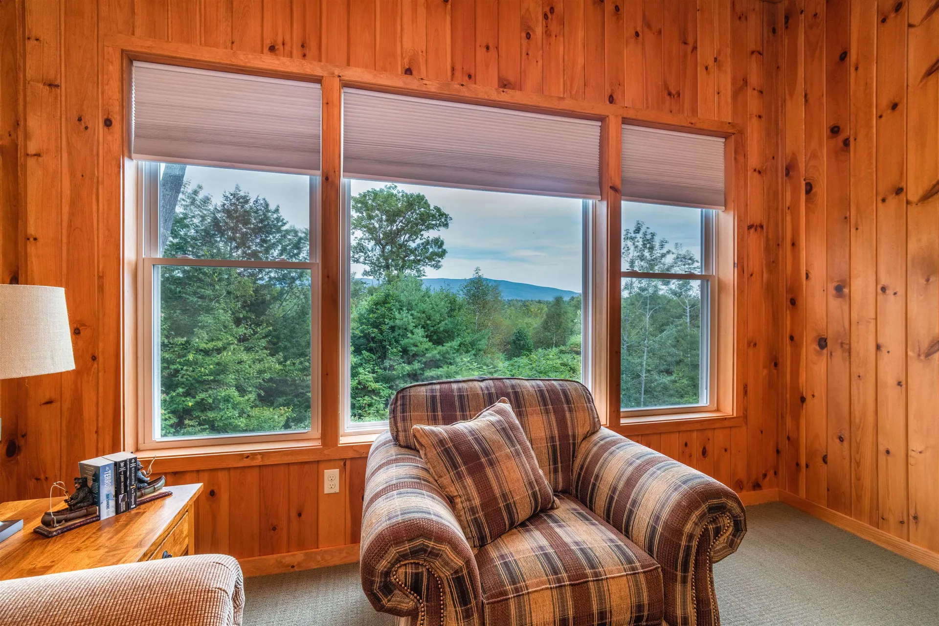 10 & 19 Abnaki Lane Moultonborough NH 03254