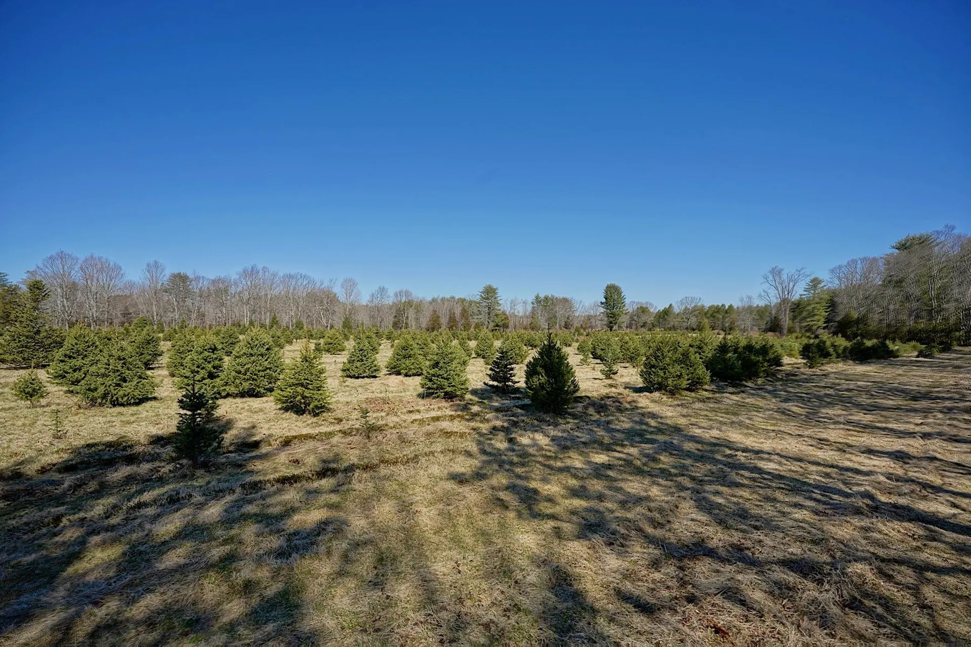 10 Victoria Drive Hampton Falls NH 03844