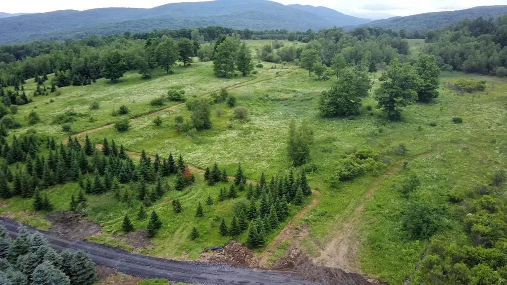 0 Lot 3 Emzaga Drive Williamstown VT 05679