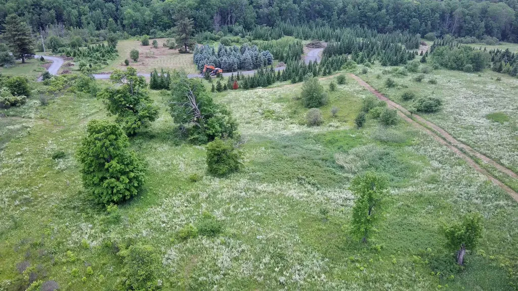 0 Lot 3 Emzaga Drive Williamstown VT 05679