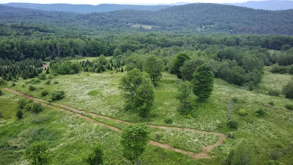 0 Lot 3 Emzaga Drive Williamstown VT 05679