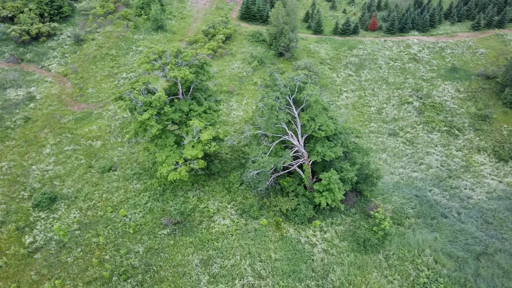 0 Lot 3 Emzaga Drive Williamstown VT 05679