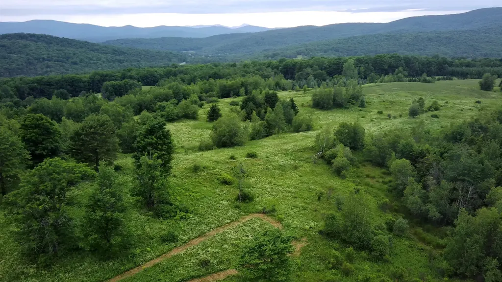 0 Lot 3 Emzaga Drive Williamstown VT 05679