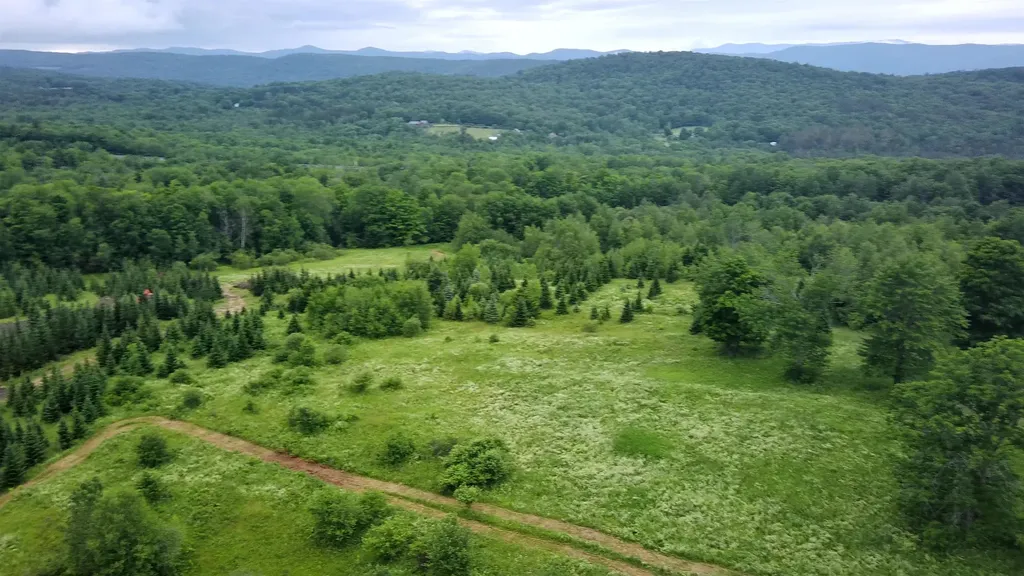 0 Lot 3 Emzaga Drive Williamstown VT 05679