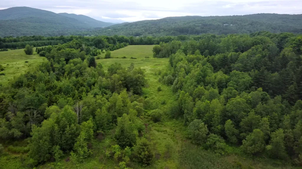 0 Lot 3 Emzaga Drive Williamstown VT 05679