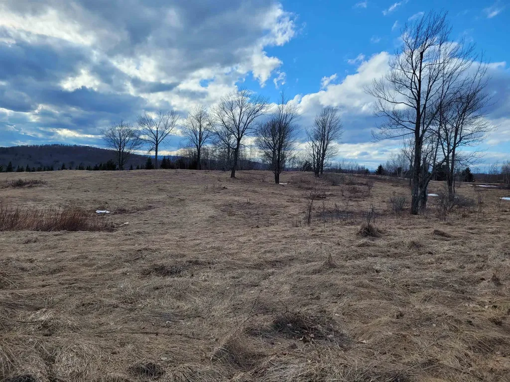 0 Lot 3 Emzaga Drive Williamstown VT 05679