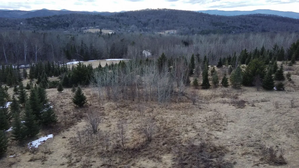 0 Lot 3 Emzaga Drive Williamstown VT 05679