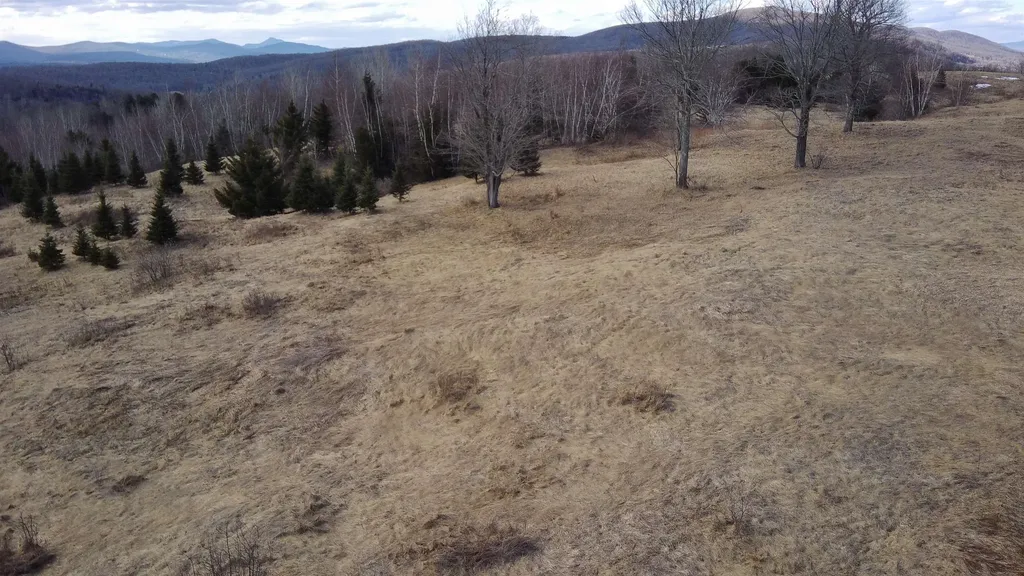0 Lot 3 Emzaga Drive Williamstown VT 05679