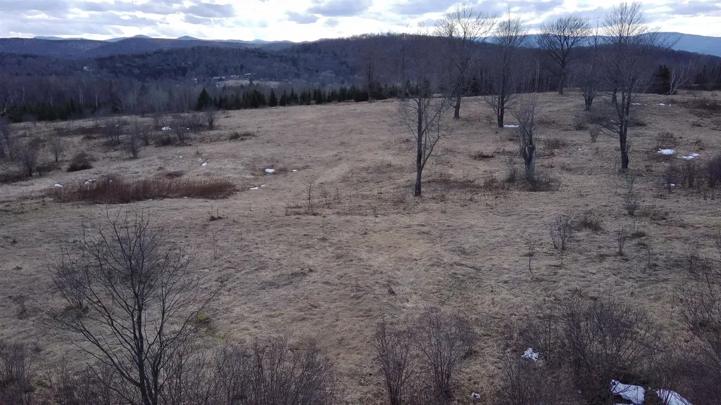 0 Lot 3 Emzaga Drive Williamstown VT 05679