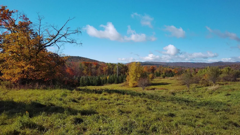 0 Lot 3 Emzaga Drive Williamstown VT 05679