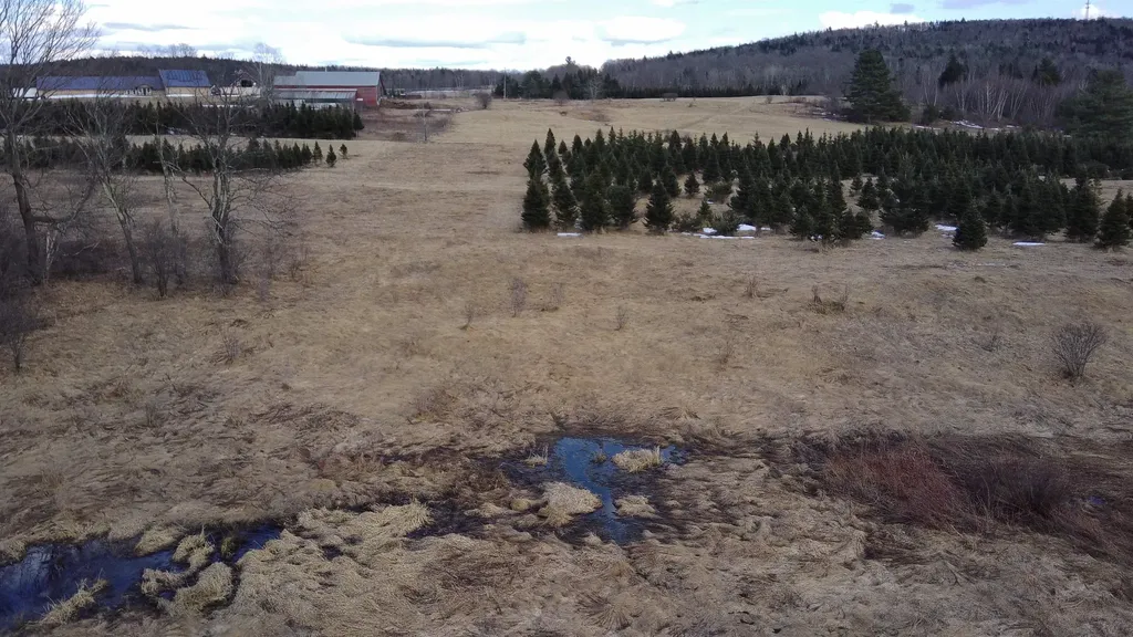 0 Lot 3 Emzaga Drive Williamstown VT 05679