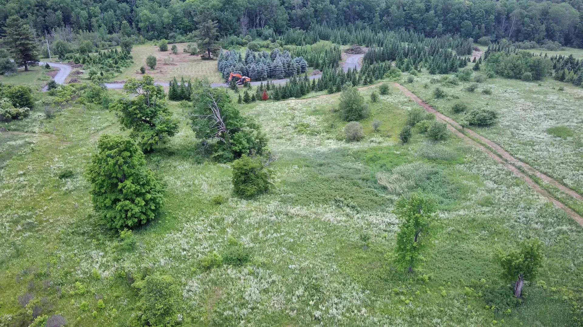 0 Lot 3 Emzaga Drive Williamstown VT 05679