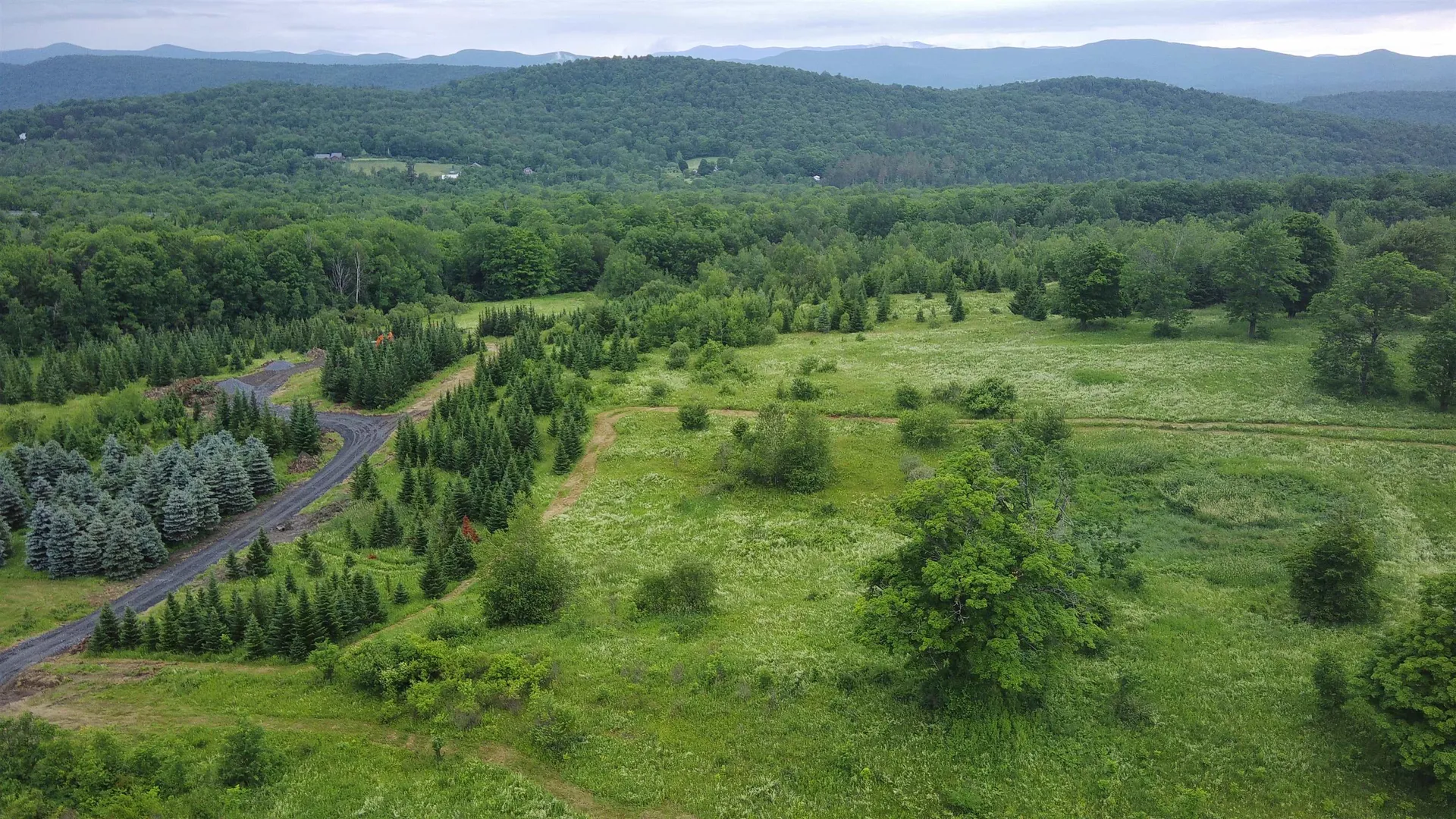0 Lot 3 Emzaga Drive Williamstown VT 05679