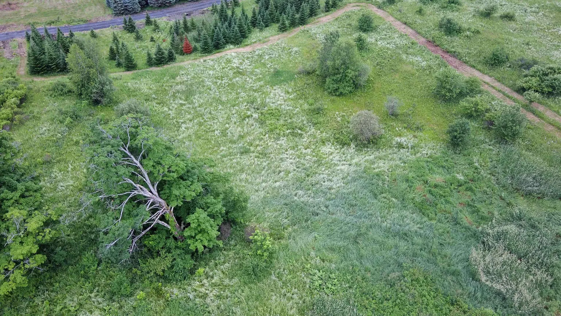 0 Lot 3 Emzaga Drive Williamstown VT 05679