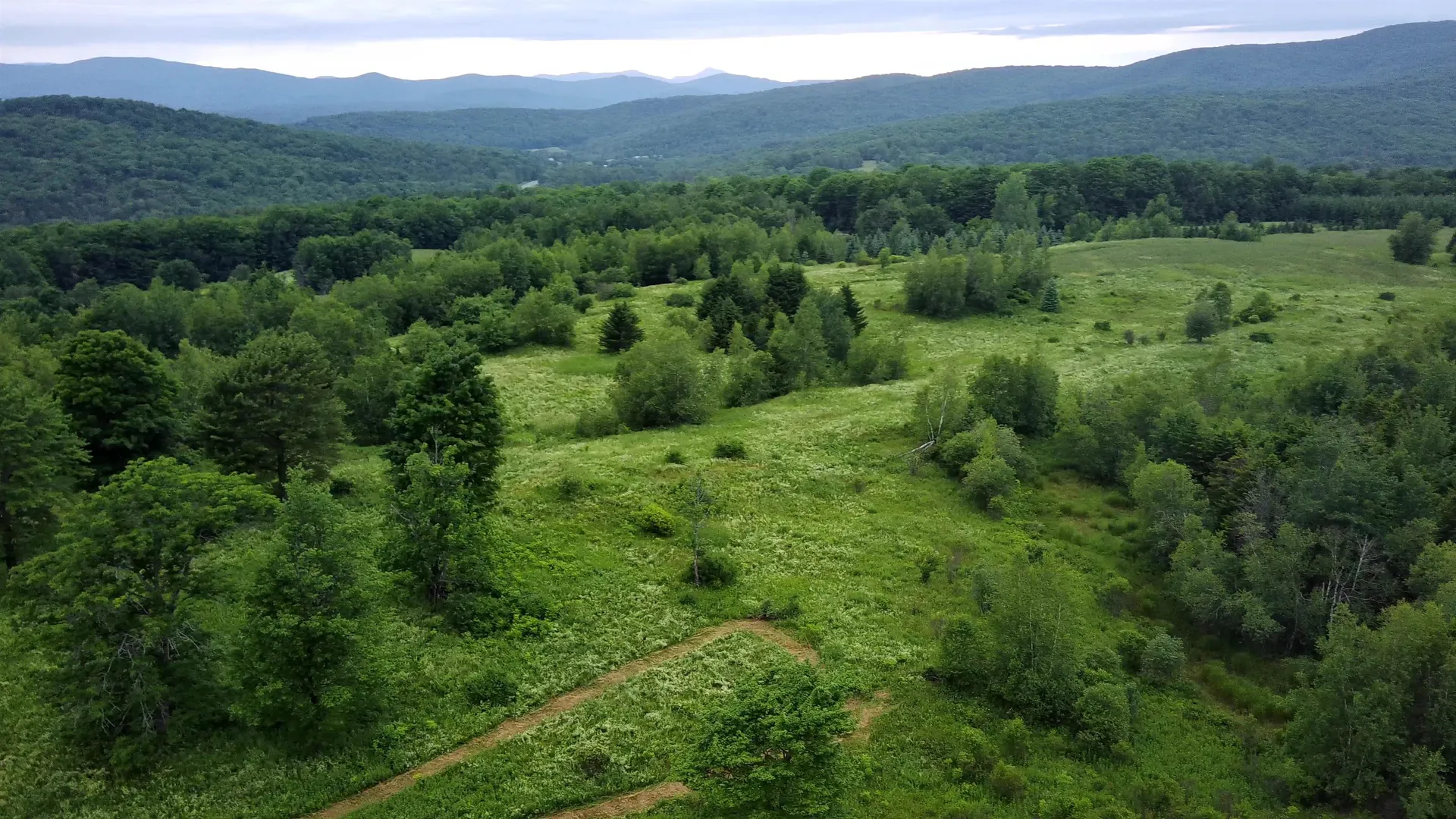 0 Lot 3 Emzaga Drive Williamstown VT 05679