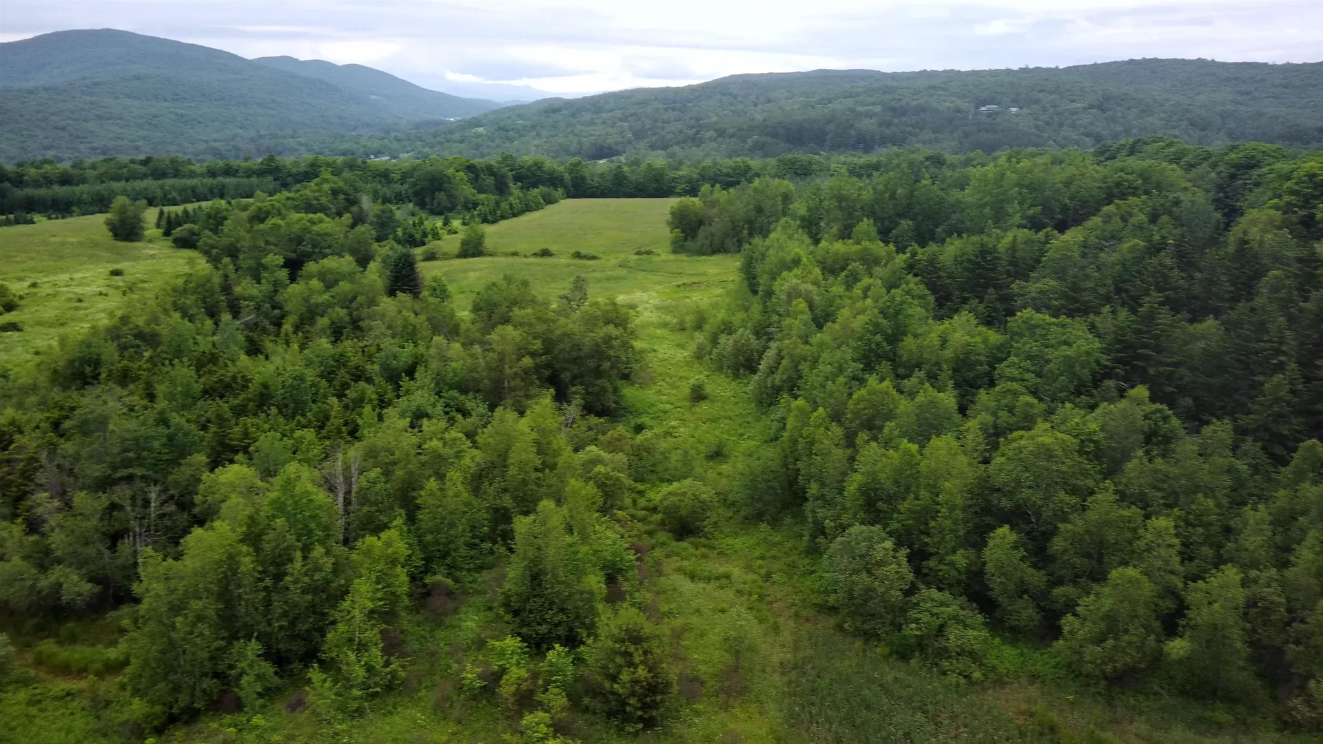 0 Lot 3 Emzaga Drive Williamstown VT 05679