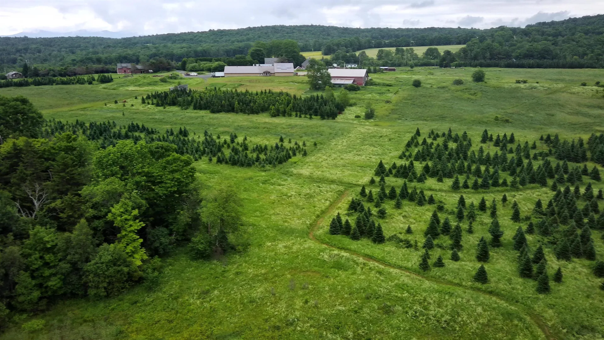 0 Lot 3 Emzaga Drive Williamstown VT 05679