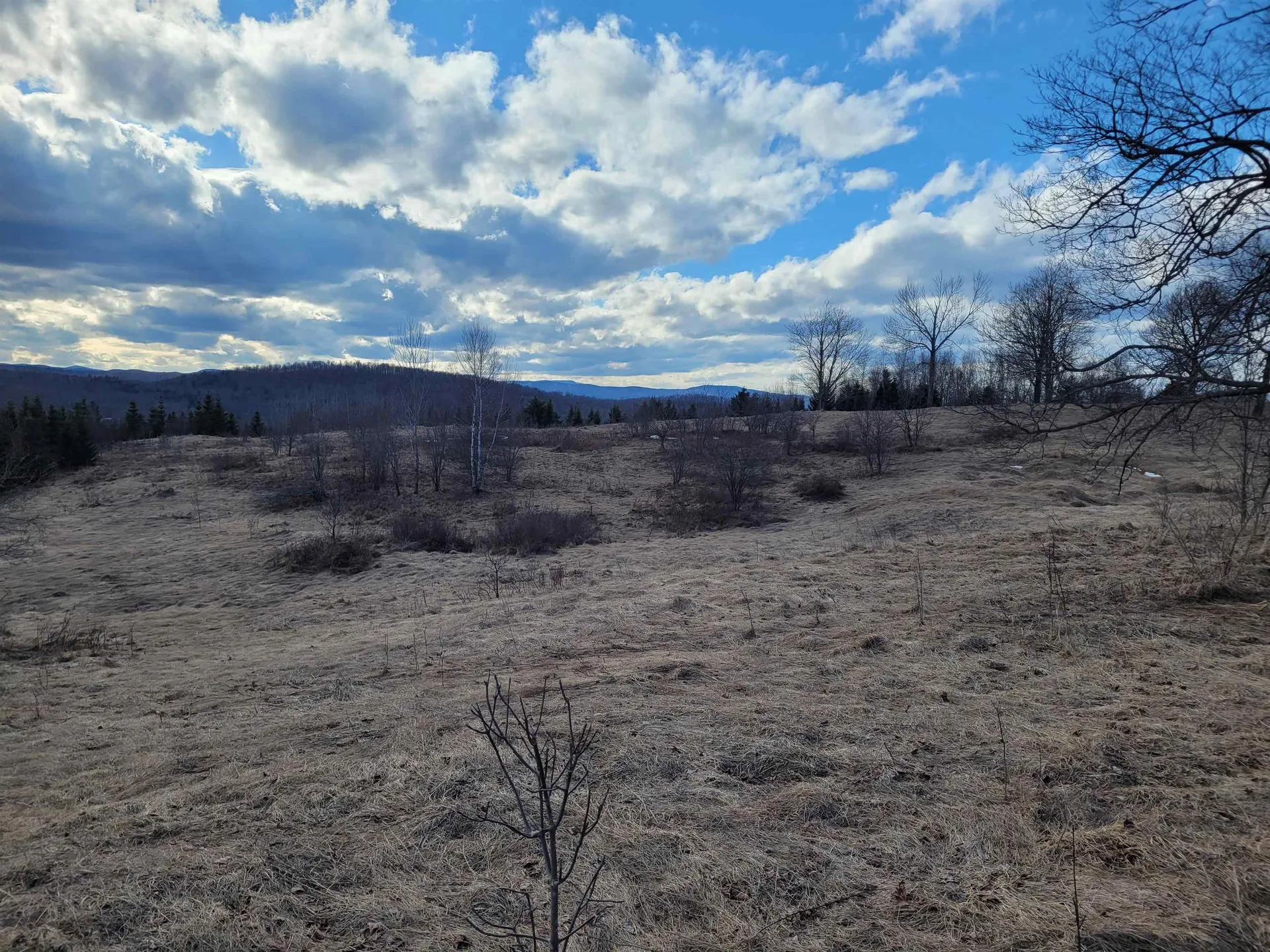 0 Lot 3 Emzaga Drive Williamstown VT 05679