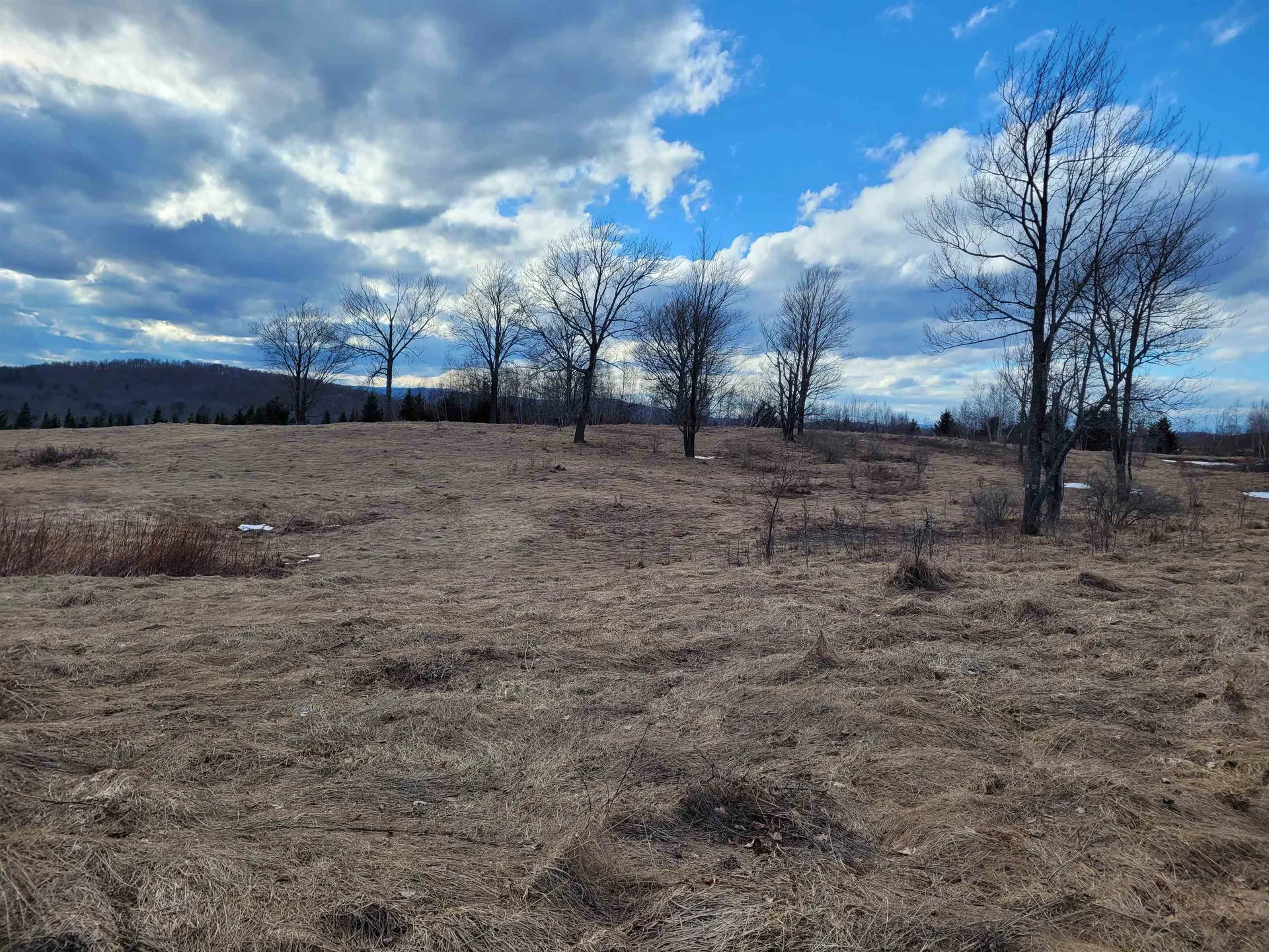 0 Lot 3 Emzaga Drive Williamstown VT 05679