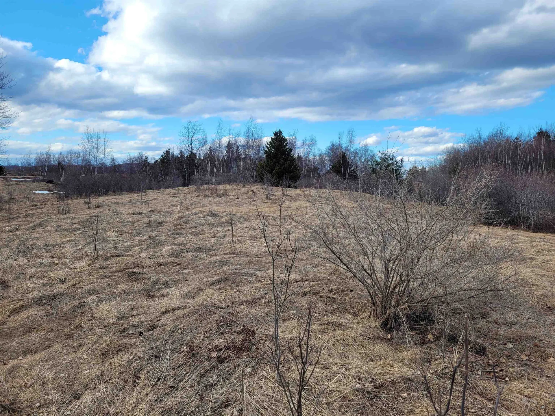 0 Lot 3 Emzaga Drive Williamstown VT 05679