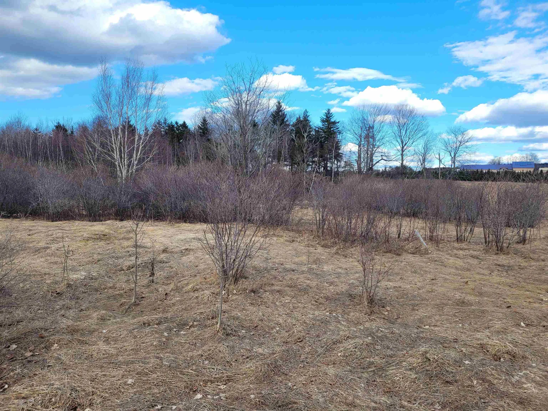 0 Lot 3 Emzaga Drive Williamstown VT 05679